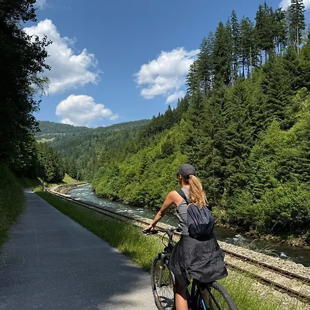 Casa Ema Austria Ramingstein